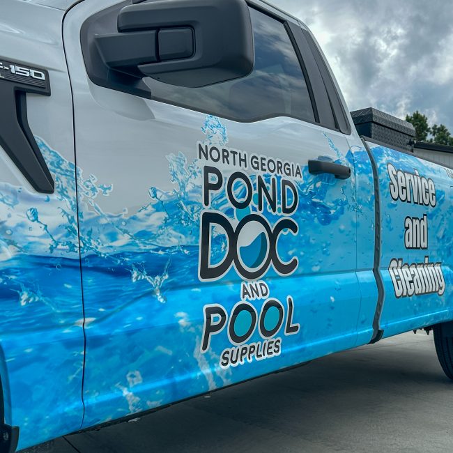 The Pool and Pond Doc